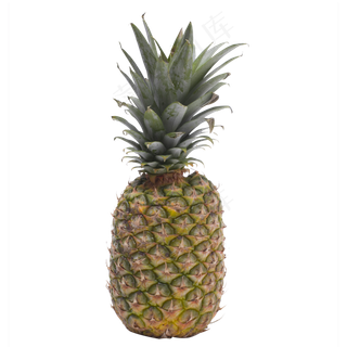 新鲜菠萝,免抠元素