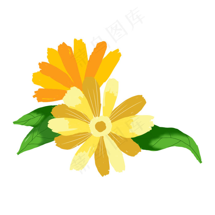 唯美万寿菊花,免抠元素