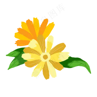 唯美万寿菊花,免抠元素 唯美万寿菊花,免抠元素