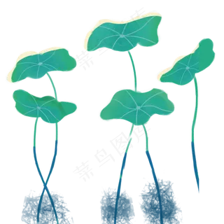 竖立的荷叶免抠图