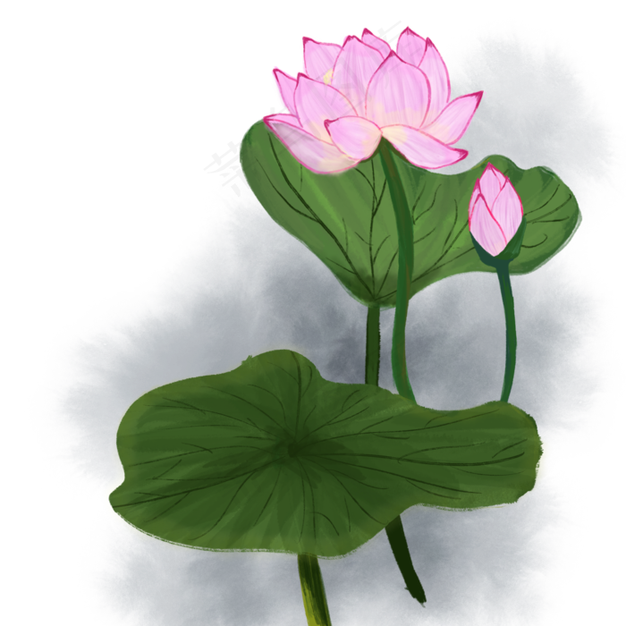水墨古风手绘花国画荷花荷叶可商