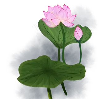 水墨古风手绘花国画荷花荷叶可商