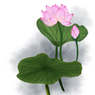 水墨古风手绘花国画荷花荷叶可商