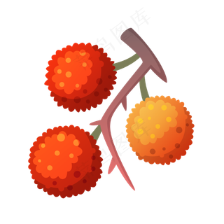 卡通手绘水果荔枝