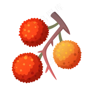 卡通手绘水果荔枝