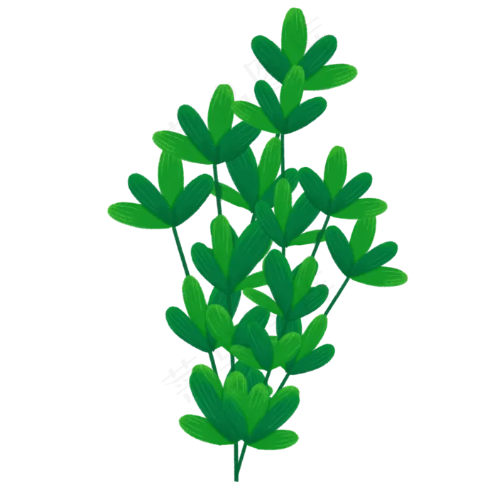 手绘美丽植物绿色叶子(3000X3000(DPI:300))psd模版下载