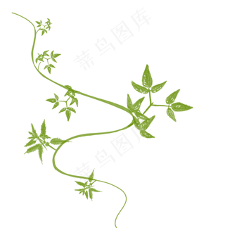 绿色手绘园艺藤条装饰图案