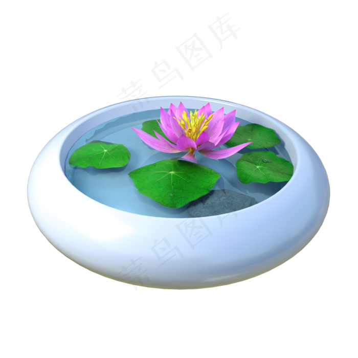 C4D植物类仿真荷花(2000X2000(DPI:300))psd模版下载