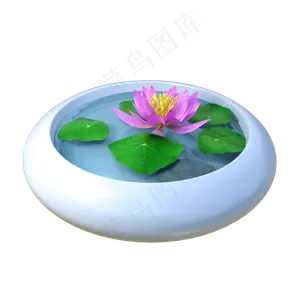 C4D植物类仿真荷花