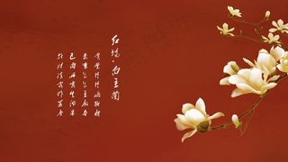 紫荆城工笔红墙白玉兰