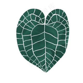 手绘夸张叶子纹理素材