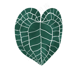 手绘夸张叶子纹理素材