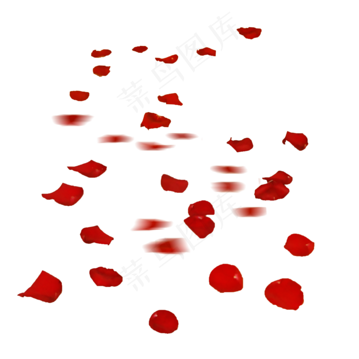红色玫瑰花瓣(2000X2000(DPI:300))psd模版下载