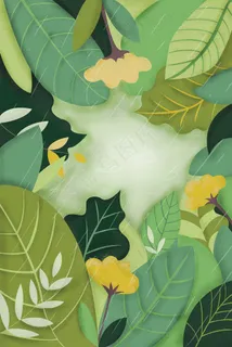 春季绿叶雨水池塘配图 春季绿叶雨水池塘配图