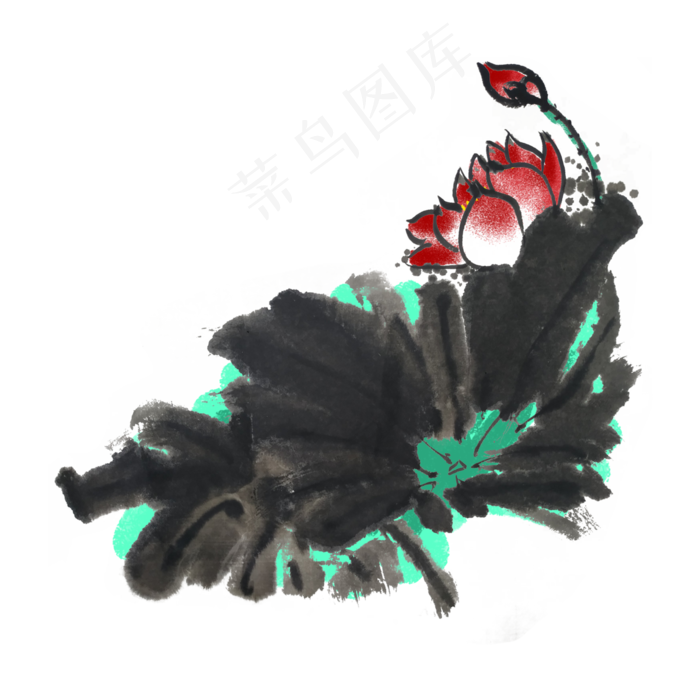 夏天荷叶手绘插画