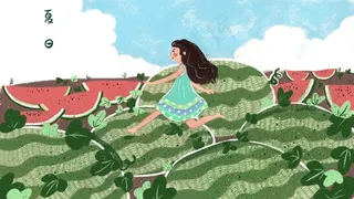 夏天立夏西瓜田西瓜地夏天吃西瓜清凉