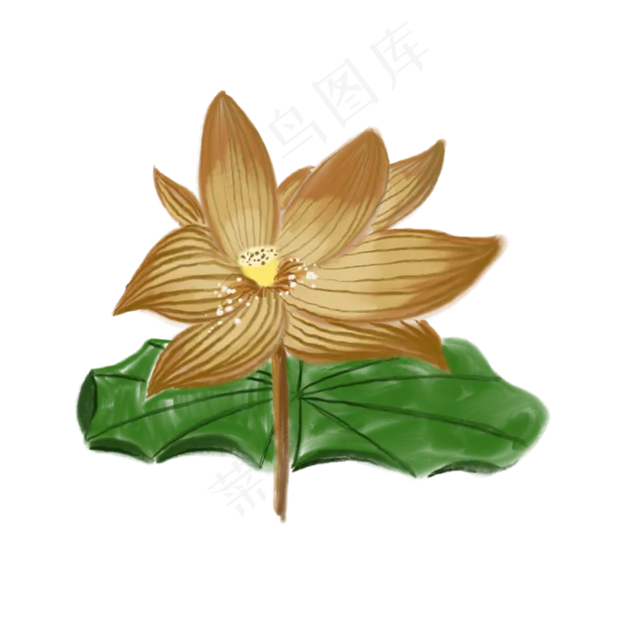 一朵黄色的荷花免抠创意插图(2000X2000(DPI:132))psd模版下载