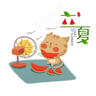 夏天猫咪吃西瓜场景