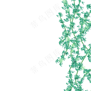 装饰的藤曼免抠图