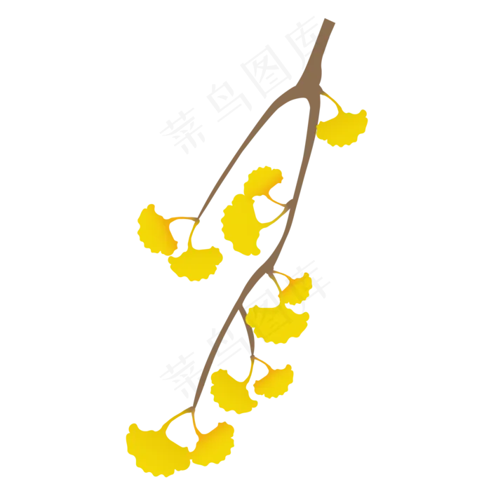 银杏叶树枝(2000*2000px 300 dpi )ai矢量模版下载