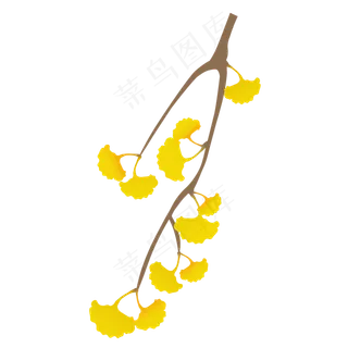 银杏叶树枝