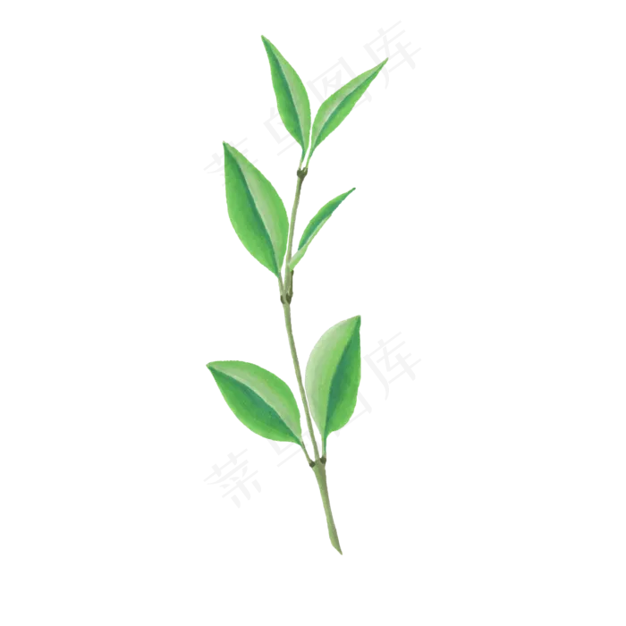 卡通手绘唯美树叶ai矢量模版下载