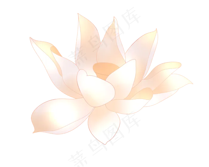 一朵漂亮的荷花插图(2500X2000(DPI:299))psd模版下载