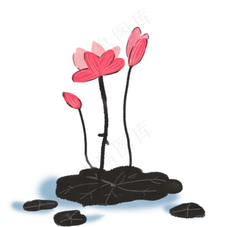 古风荷花荷叶免扣素材