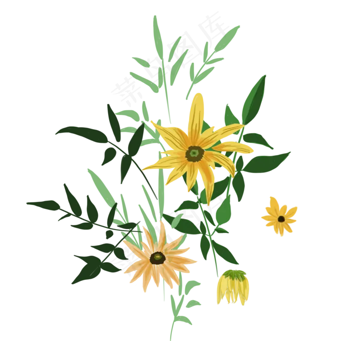 雏菊小花植物花艺插花