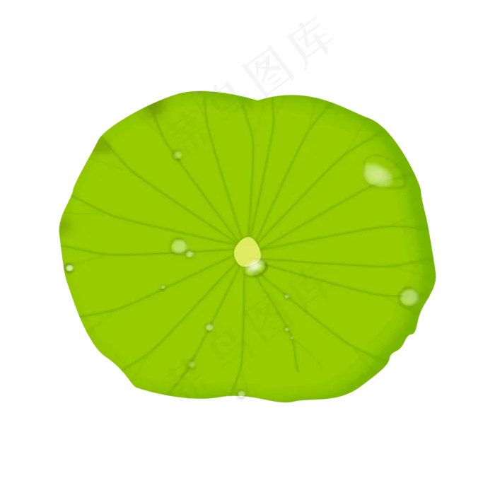 绿色夏季荷叶(2000X2000(DPI:300))psd模版下载