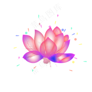 彩色的荷花免抠图