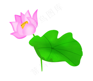 一朵漂亮的粉色荷花