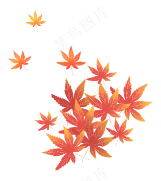 枫叶树叶落叶秋天红叶子枫树叶,免抠元素