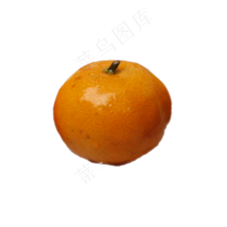 橙色的桔子免抠图