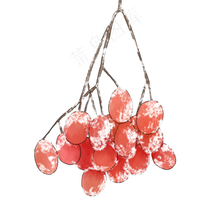 手绘霜降果枝树枝插画,免抠元素