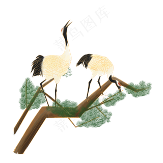 中国古典仙鹤白鹤松树