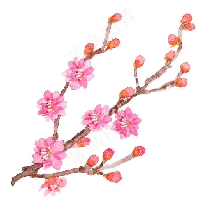 梅花花卉(2000X2000(DPI:300))psd模版下载