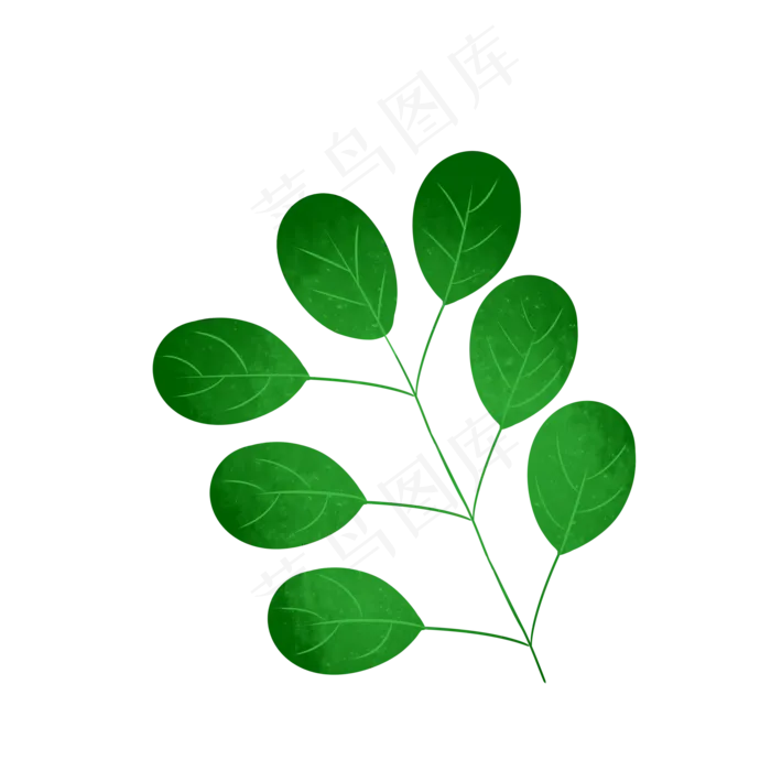 绿色植物叶子槐树树叶(2000X2000(DPI:299))psd模版下载