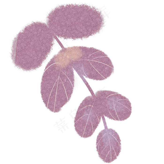 红色的自然枝叶植物(2000X2000(DPI:300))psd模版下载