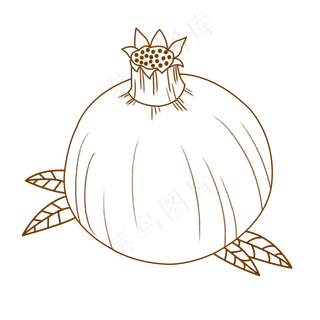 线描水果石榴