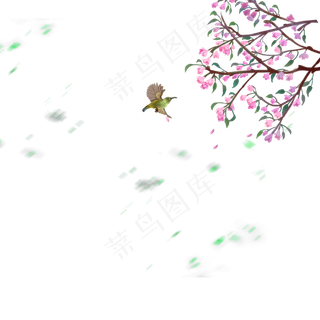 花鸟手绘,免抠元素