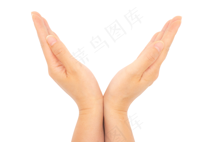 手捧图案手势,免抠元素