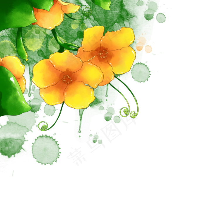 水彩黄色花朵