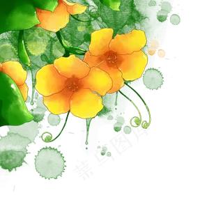 水彩黄色花朵