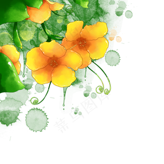 水彩黄色花朵