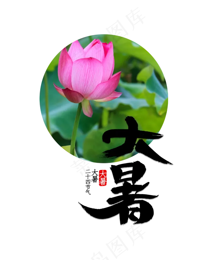 大暑节气粉红色荷花(2500X3000(DPI:300))psd模版下载