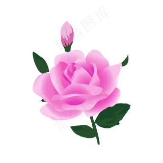 手绘玫瑰粉色玫瑰元素