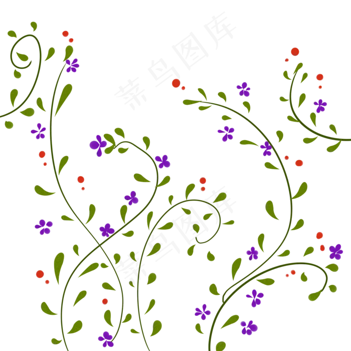 植物免扣文件花束满天星