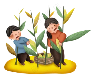 秋季秋天手绘摘玉米,免抠元素