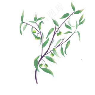 八一建军节绿色橄榄枝